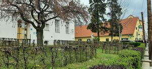 Garten mit Froschkönig-Brunnen - 2022