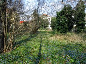 letzte Frühlingsblumen im Garten?